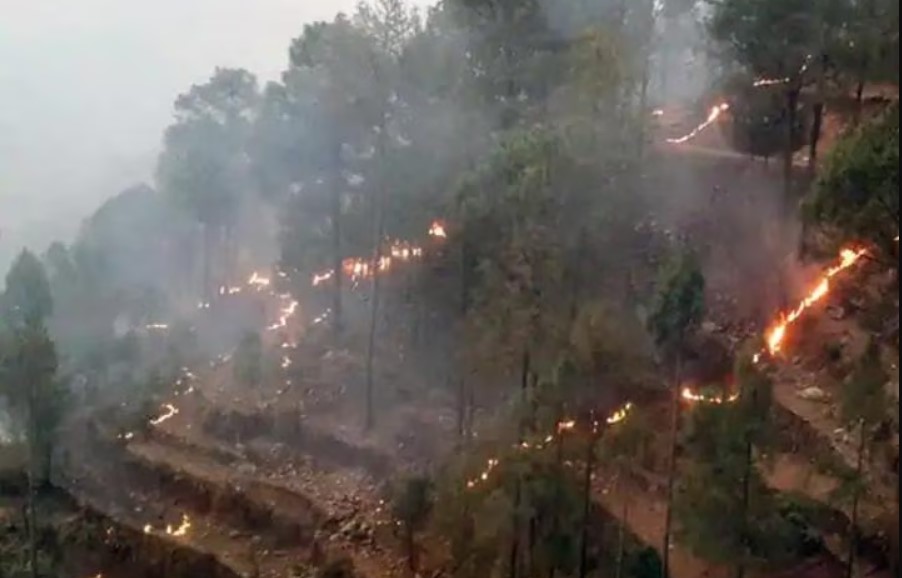 Uttarakhand: बर्फबारी के बीच आग की लपटों ने झुमाधुरी जंगल में पांच हेक्टेयर वन क्षेत्र को नुकसान पहुंचाया, टीम पहुंचने में देरी