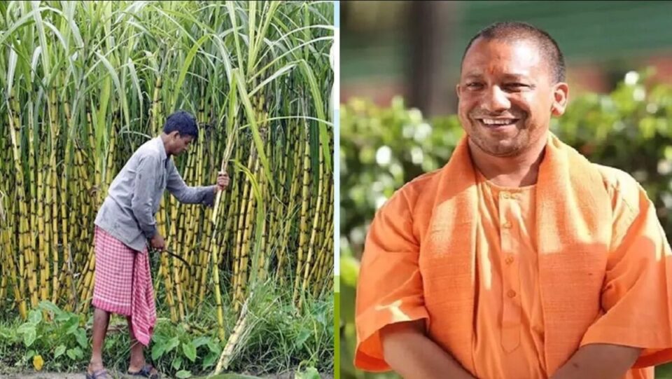 UP News: Lucknow लोकसभा चुनाव से पहले गन्ना किसानों को मिलेगा तोहफा, जल्द बड़ा एलान करेगी योगी सरकार