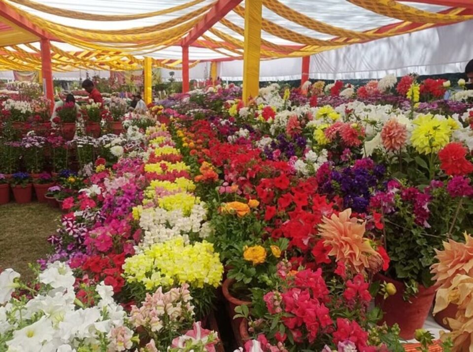 Vasantotsav 2024: Uttarakhand राजभवन में सजा फूलों का संसार, तीन दिवसीय आयोजन में होंगी 15 मुख्य प्रतियोगिताएं