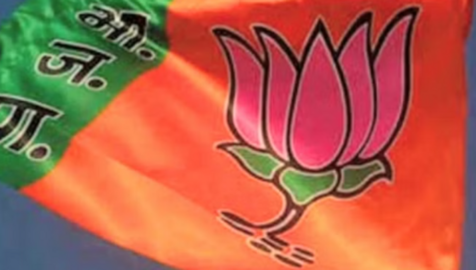 Lok Sabha Election 2024: बीस साल में BJP ने लगाई 33 फीसदी की छलांग, चुनावी रणनीति को दी लगातार धार